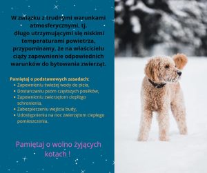 Zapewnij odpowiednie warunki swoim zwierzętom