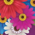 Życzenia z okazji Dnia Kobiet