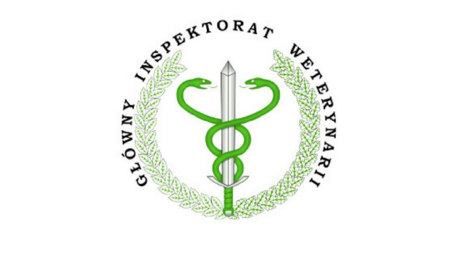 ASF – komunikat Głównego Lekarza Weterynarii