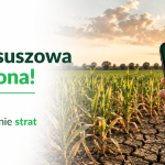 Producenci rolni mogą już składać wnioski w aplikacji suszowej
