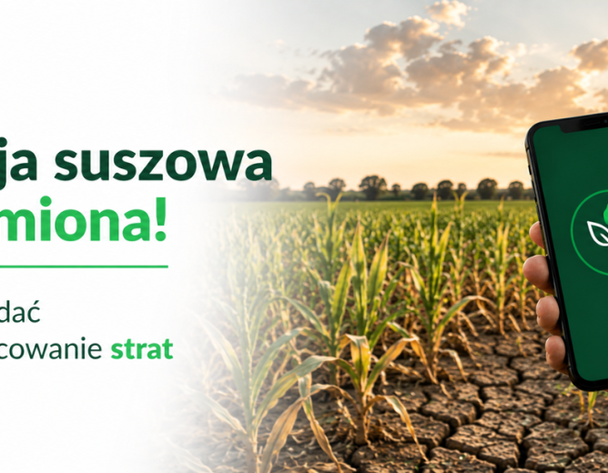 Producenci rolni mogą już składać wnioski w aplikacji suszowej