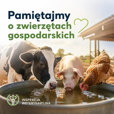 Komunikat Powiatowego Lekarza Weterynarii w Wieluniu
