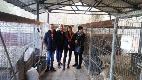 Z wizytą w schronisku dla psów w Trębaczewie